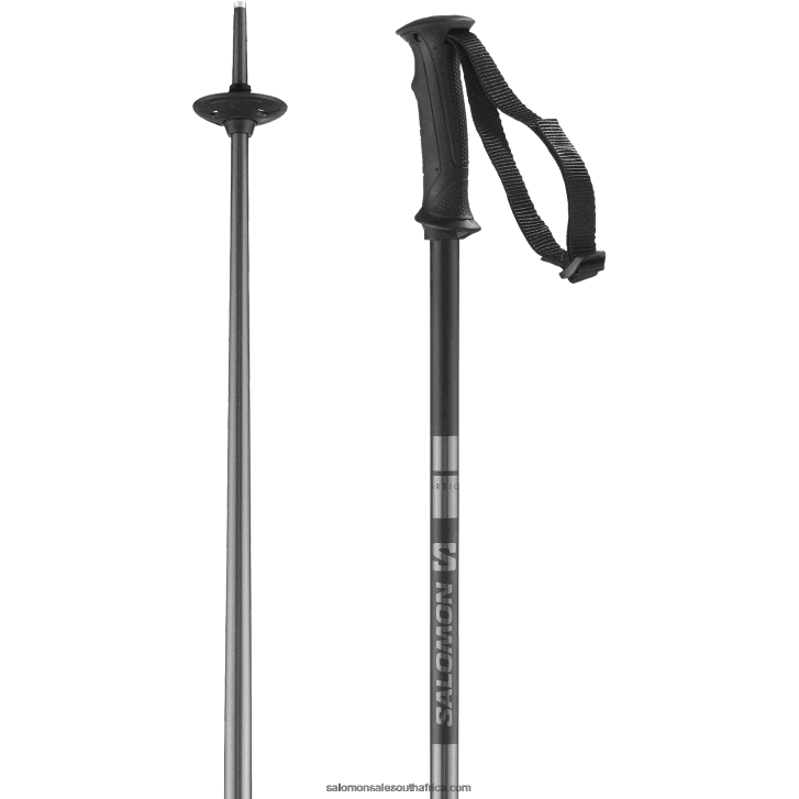 Salomon Mens Alpine Poles - Arctic JV8B481257 Blue