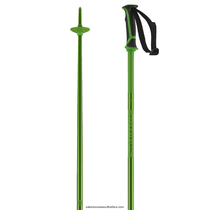 Salomon Mens Alpine Poles - Arctic JV8B481258 Green