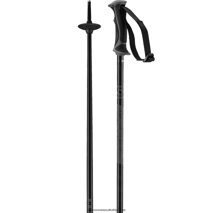 Salomon Women's Alpine Poles - Arctic Lady JV8B481293 Black/Grey